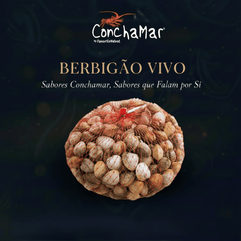 Berbigão Vivo Cerastoderma Edule 1Kg