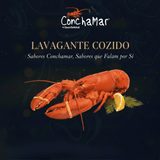Lavagante Cozido Homarus Gamarus 400/500g Un.