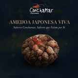 Ameijoa Japonesa Grande Viva -Mergulho venerupis philippinarum - 1Kg