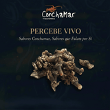 Percebes Vivos Medio Pollicipes Cornucopie 1Kg
