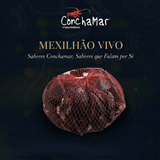 Mexilhão Vivo Mytilus SPP 1KG