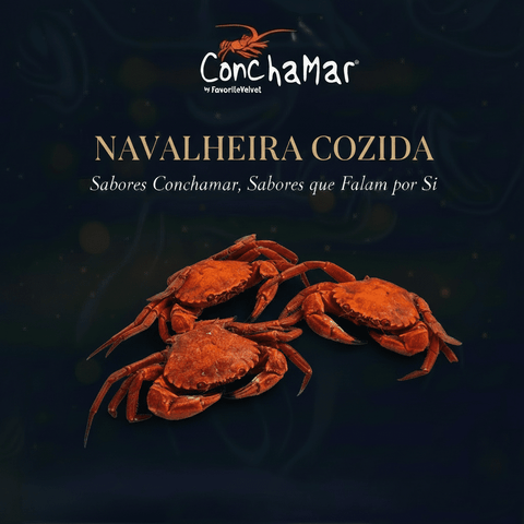 Navalheira cozida Liocarcinus Puber 1kg