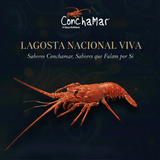 Lagosta Nacional Viva Palinurus Elephas Uni. 800g aprox.