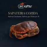 Sapateira Cozida Cancer Pagurus Uni.