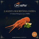 Lagosta Cozida Palinurus Mauritanicus Uni. 300/400g