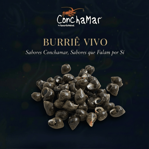 Burrie Vivo Littorina Littorea 1Kg