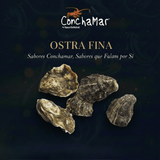 Ostras Nacionais Vivas Crassostrea Gigas 1Kg