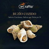 Buzio Cozido Buccinum Undatum 1Kg