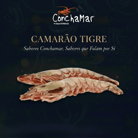 Camarão Tigre Congelado 2/4 Penaeus Monodon 1KG