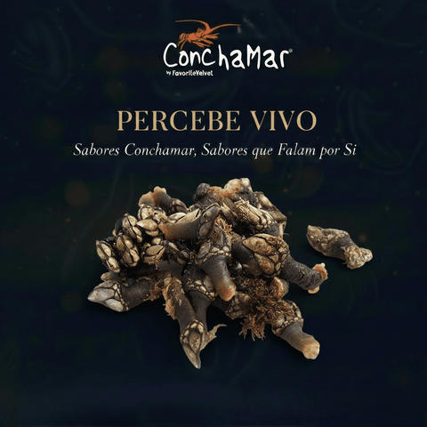 Percebes Vivos Medio Pollicipes Cornucopie 1Kg